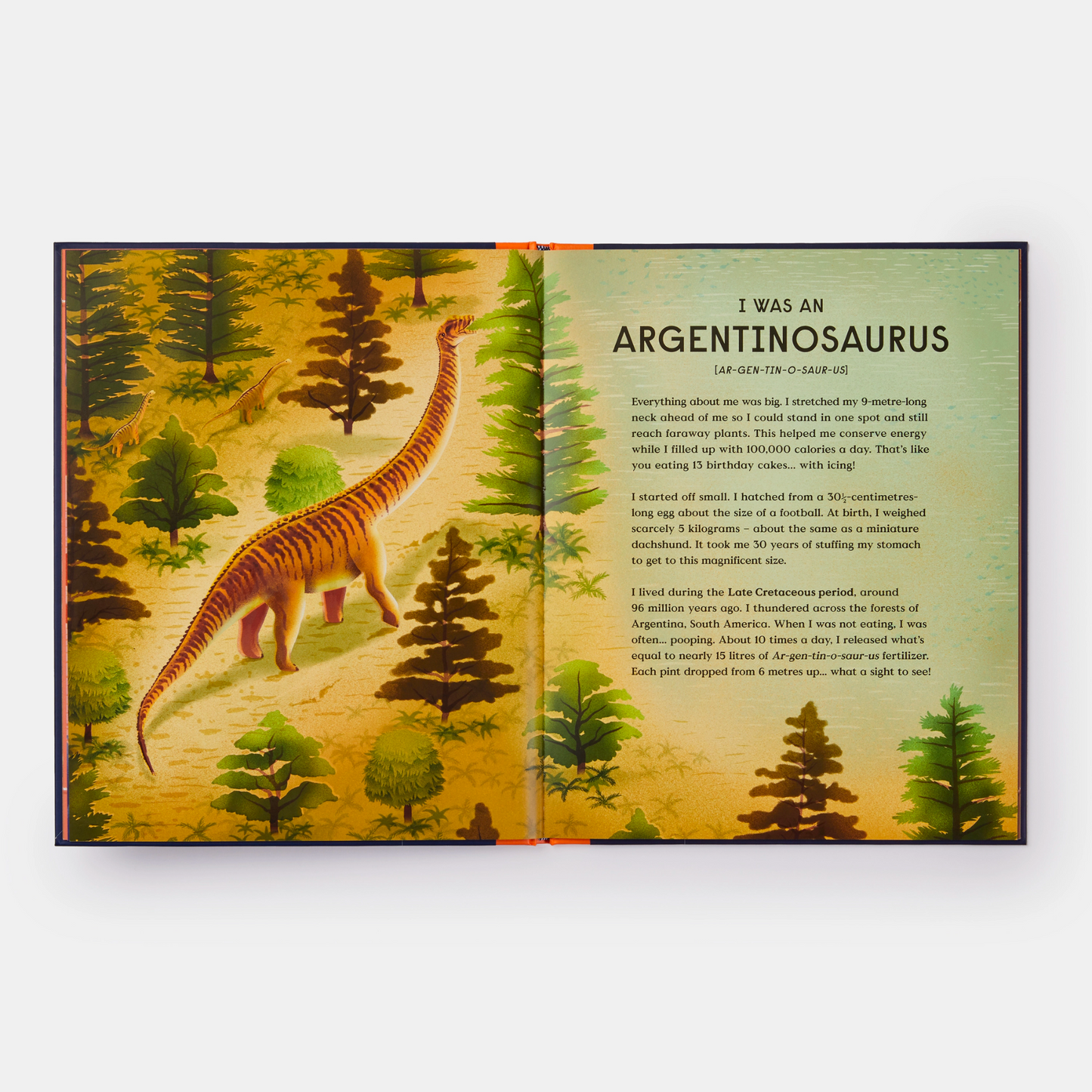 Book of Dinosaurs