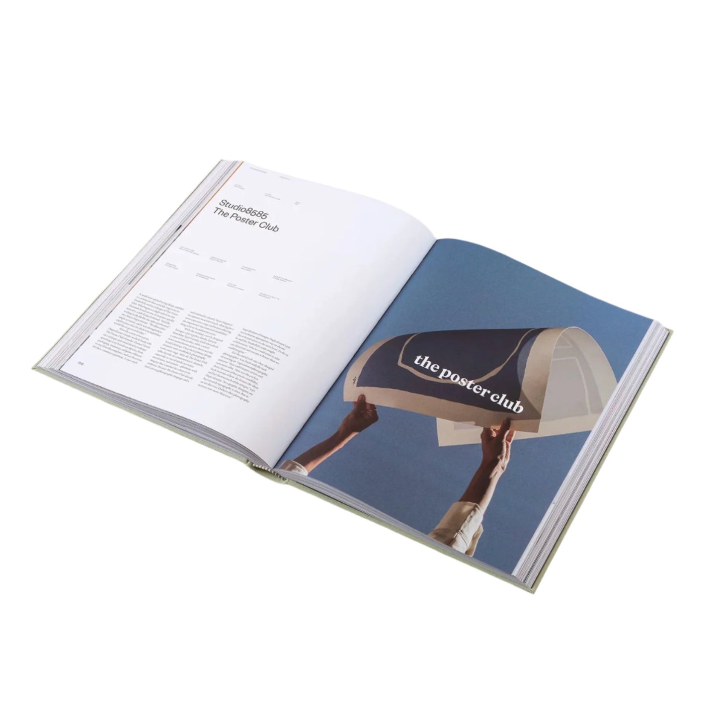 Designing Brands book