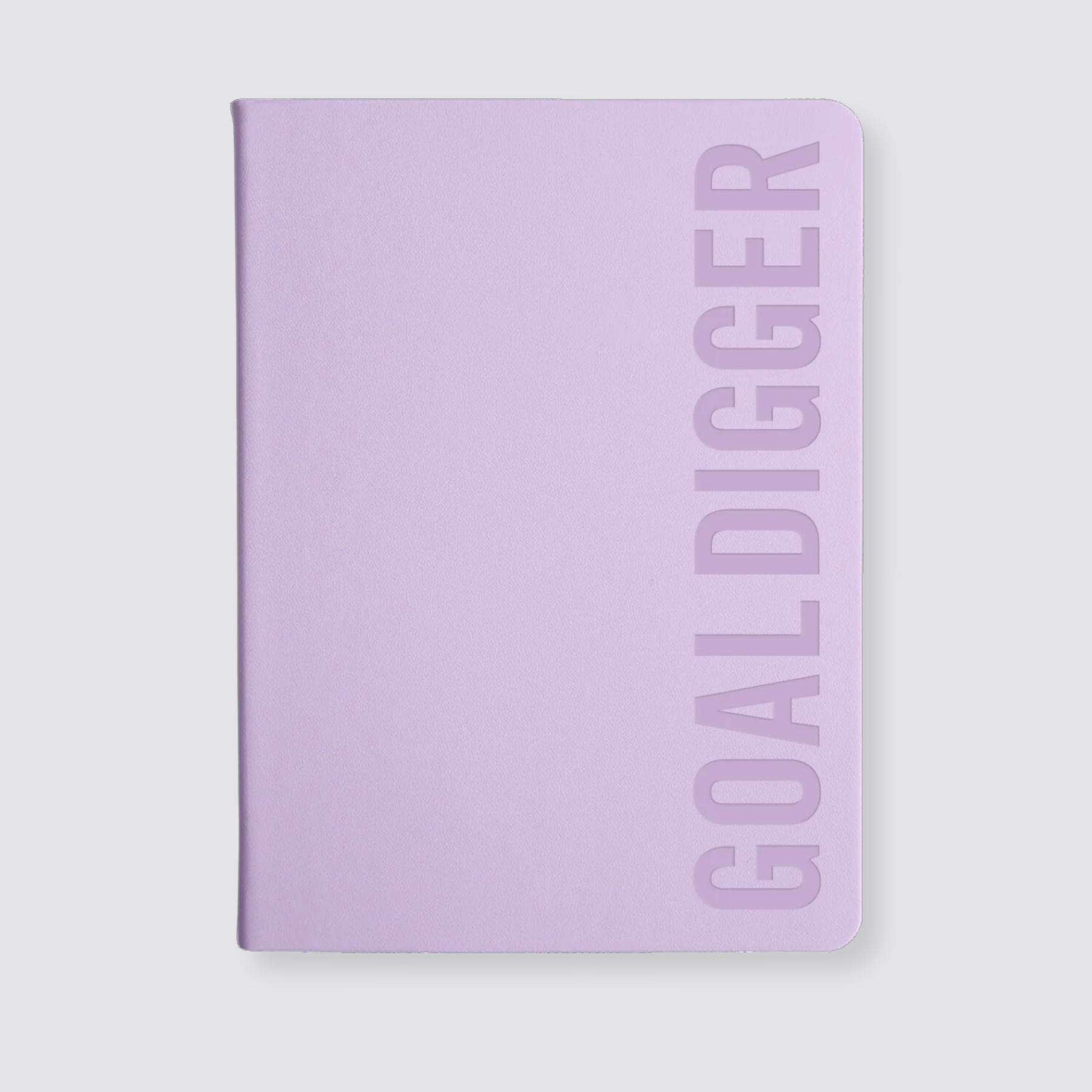 Lilac bold goal digger planner 2024