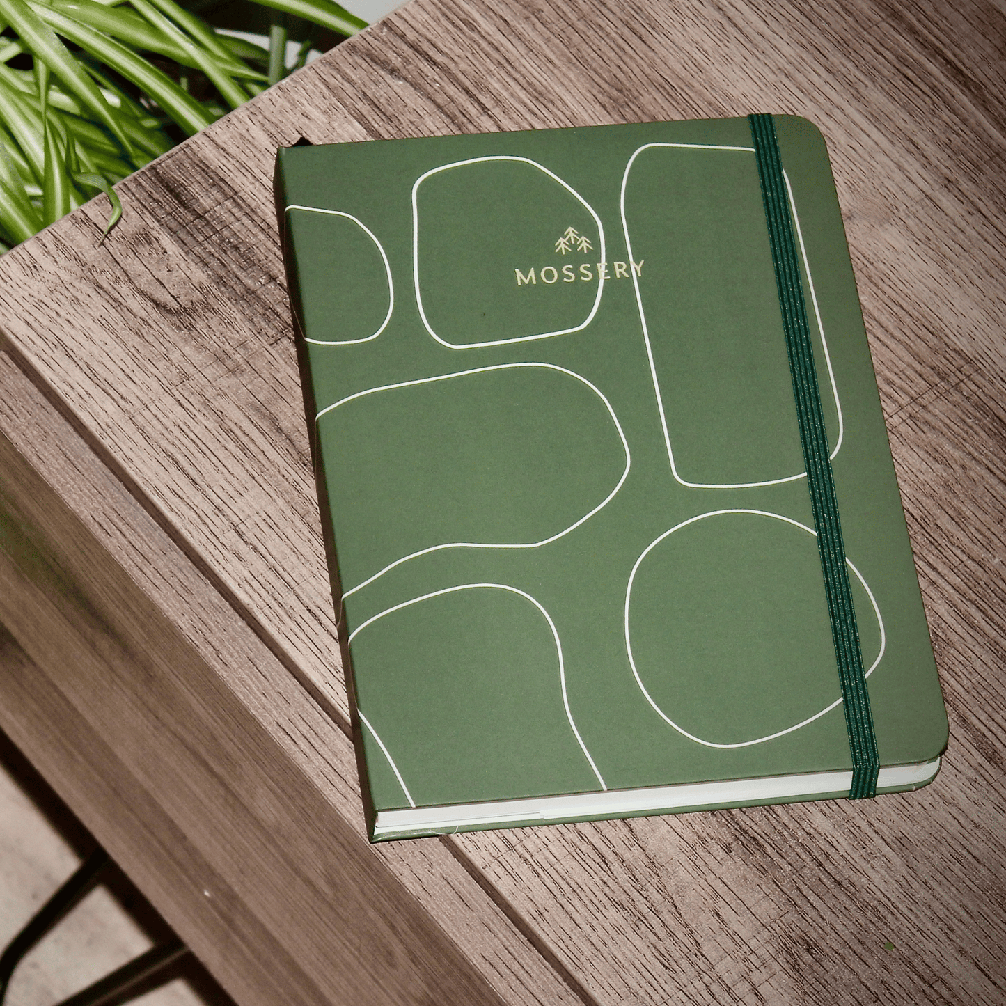 2024 Refillable Dated Diary - Jade