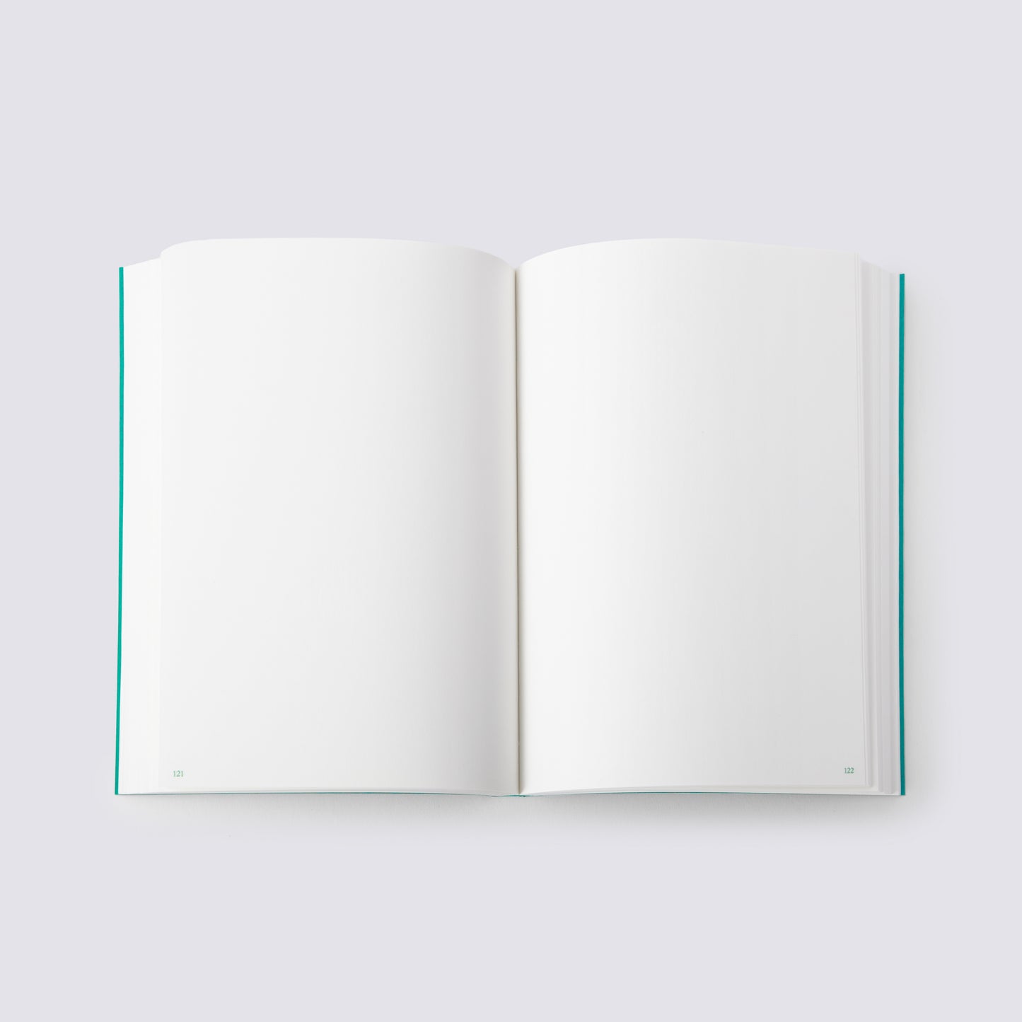 Plain Notebook pages