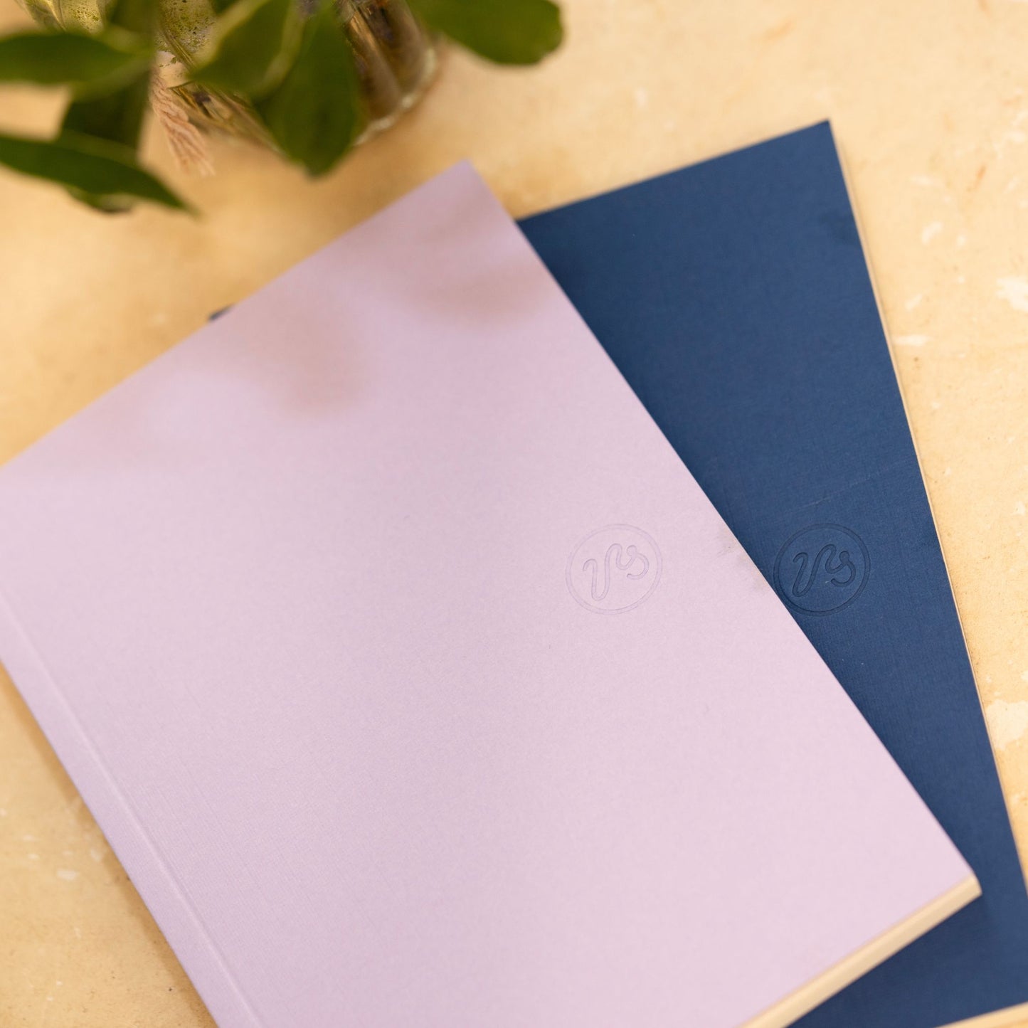 Two notebooks, one purple and one blue, on a light wooden surface with a plant in the corner.