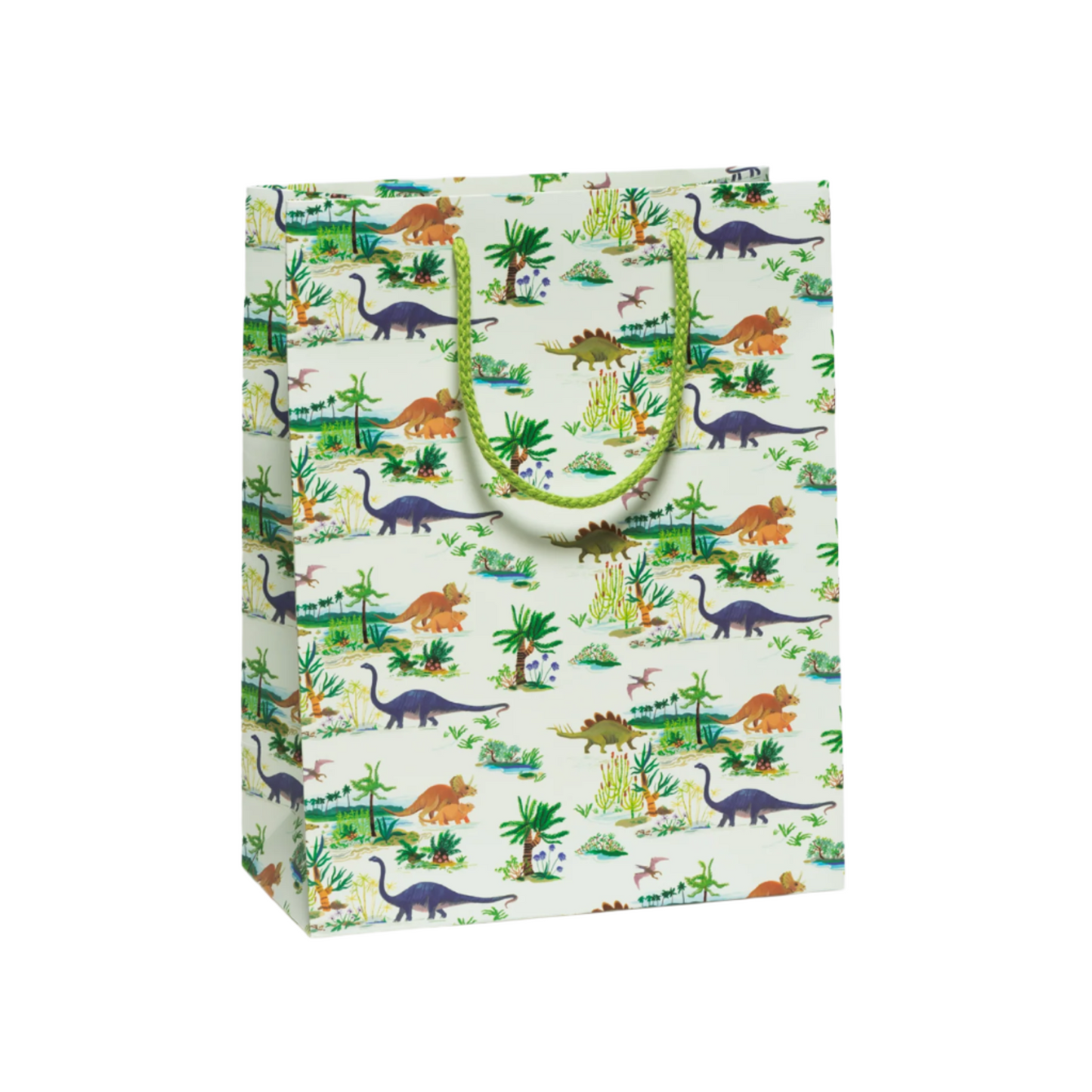 Dinosaur print gift bag