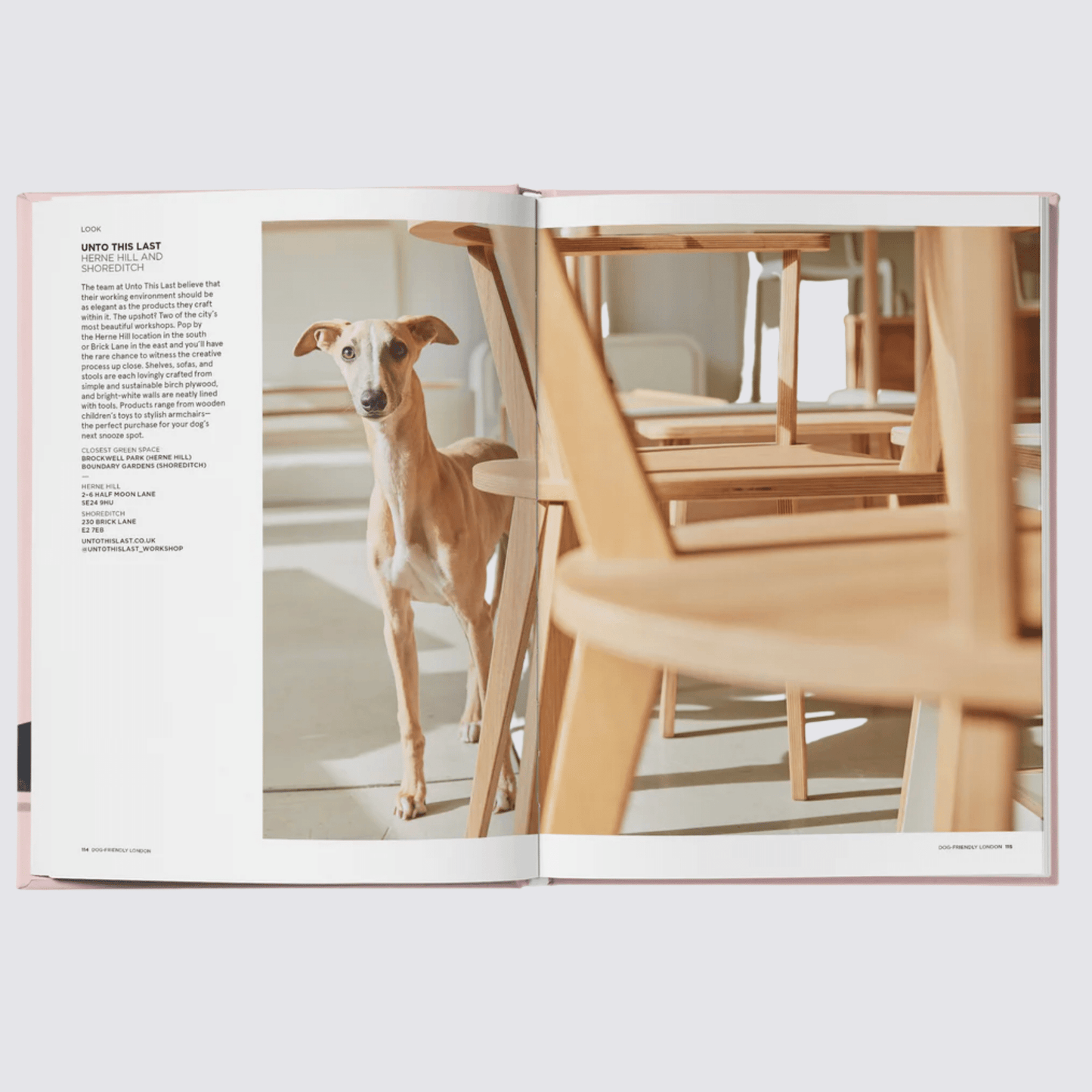 dog friendly london cafes