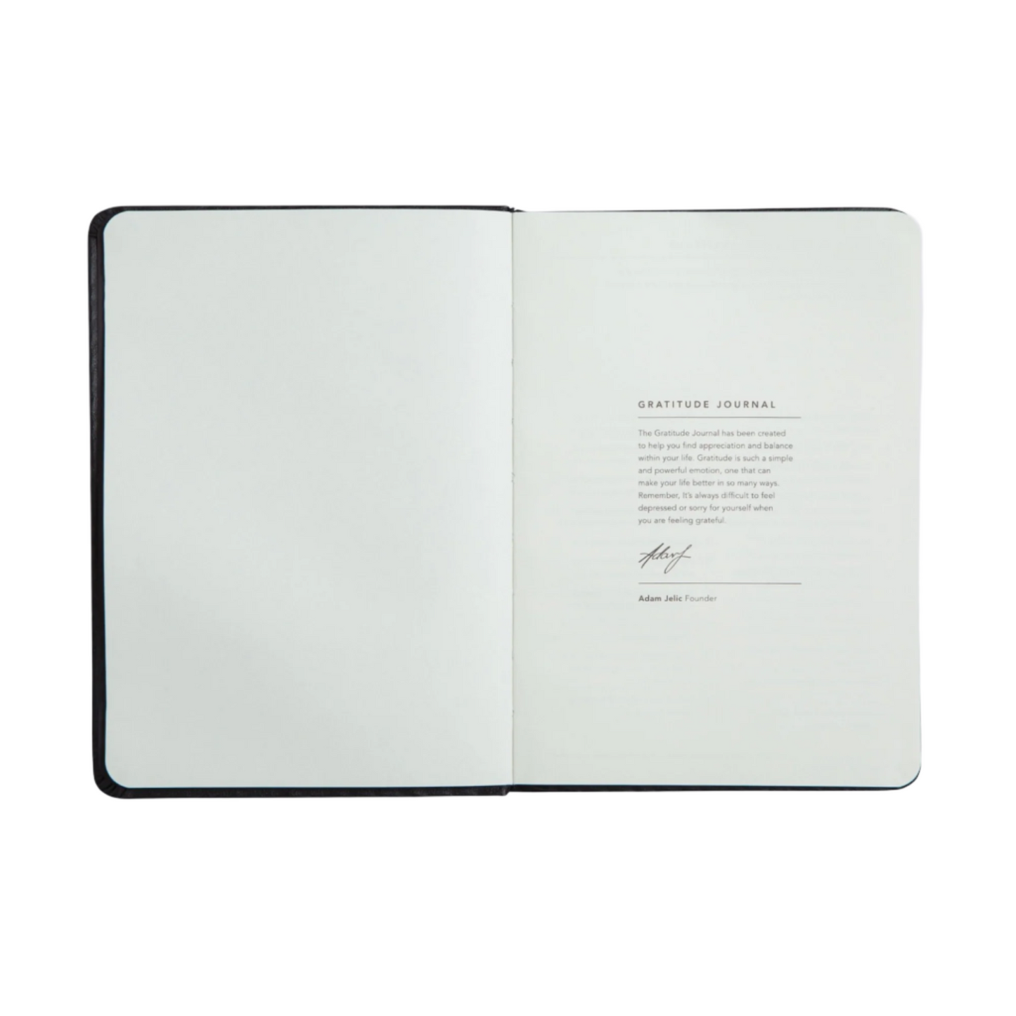 Gratitude Journal in Teal