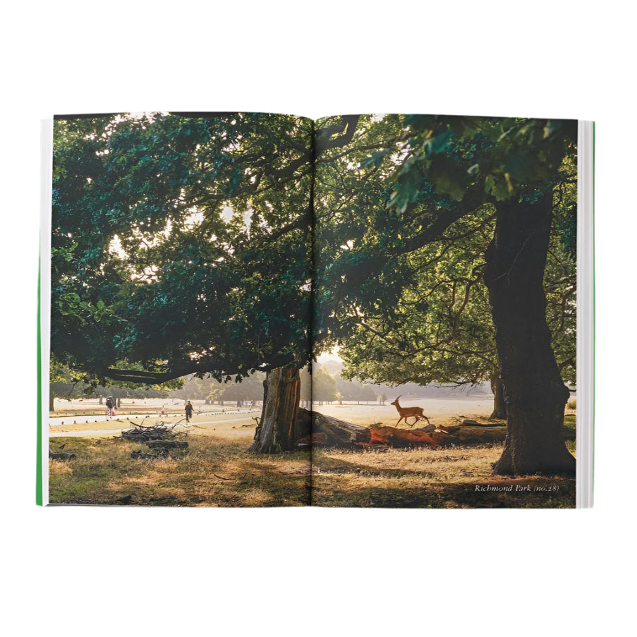 Opinionated Guide Photography Spread