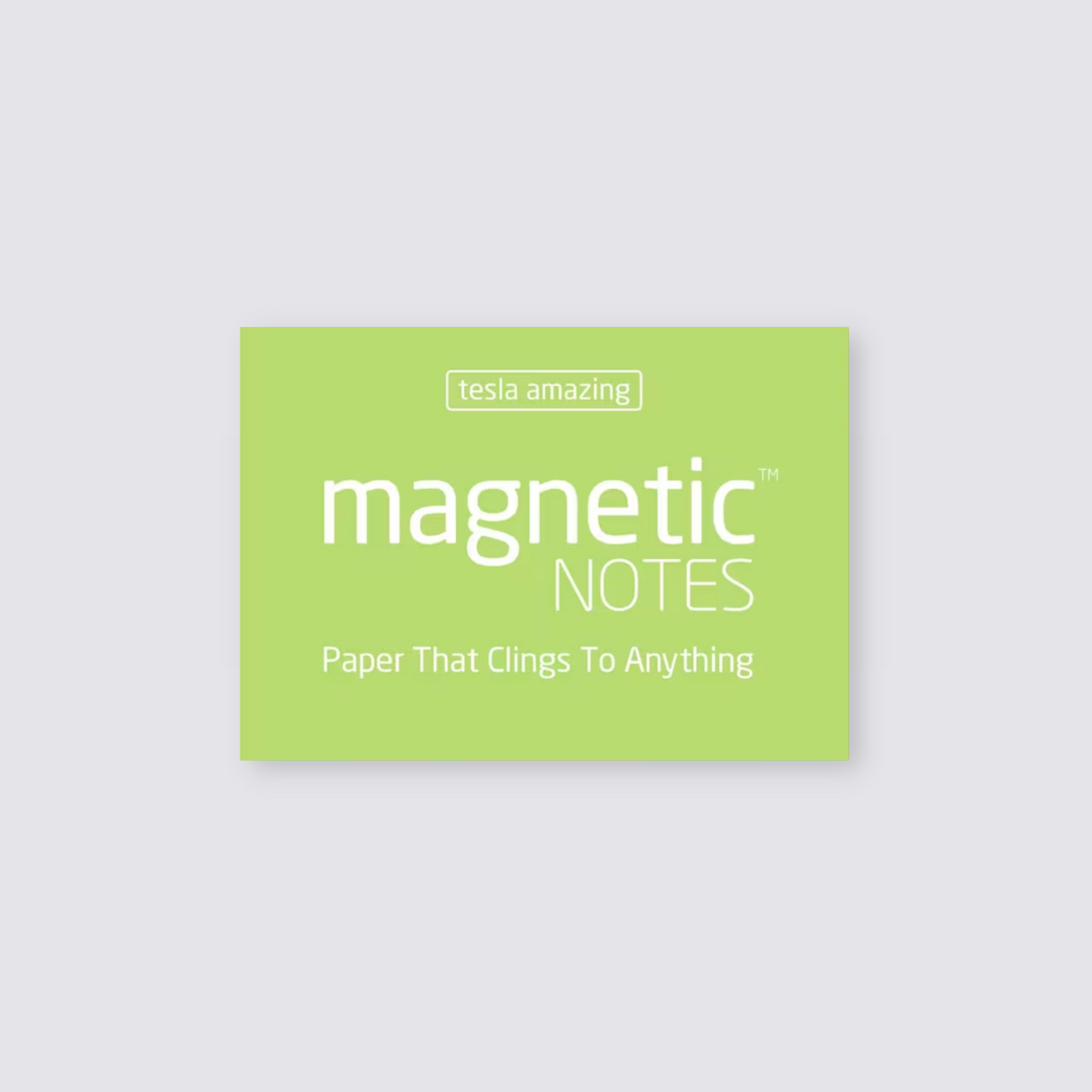 Small Magnetic Notes - Mint