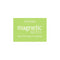 Small Magnetic Notes - Mint
