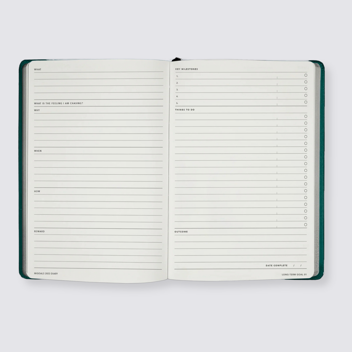 2024 diary goal planning