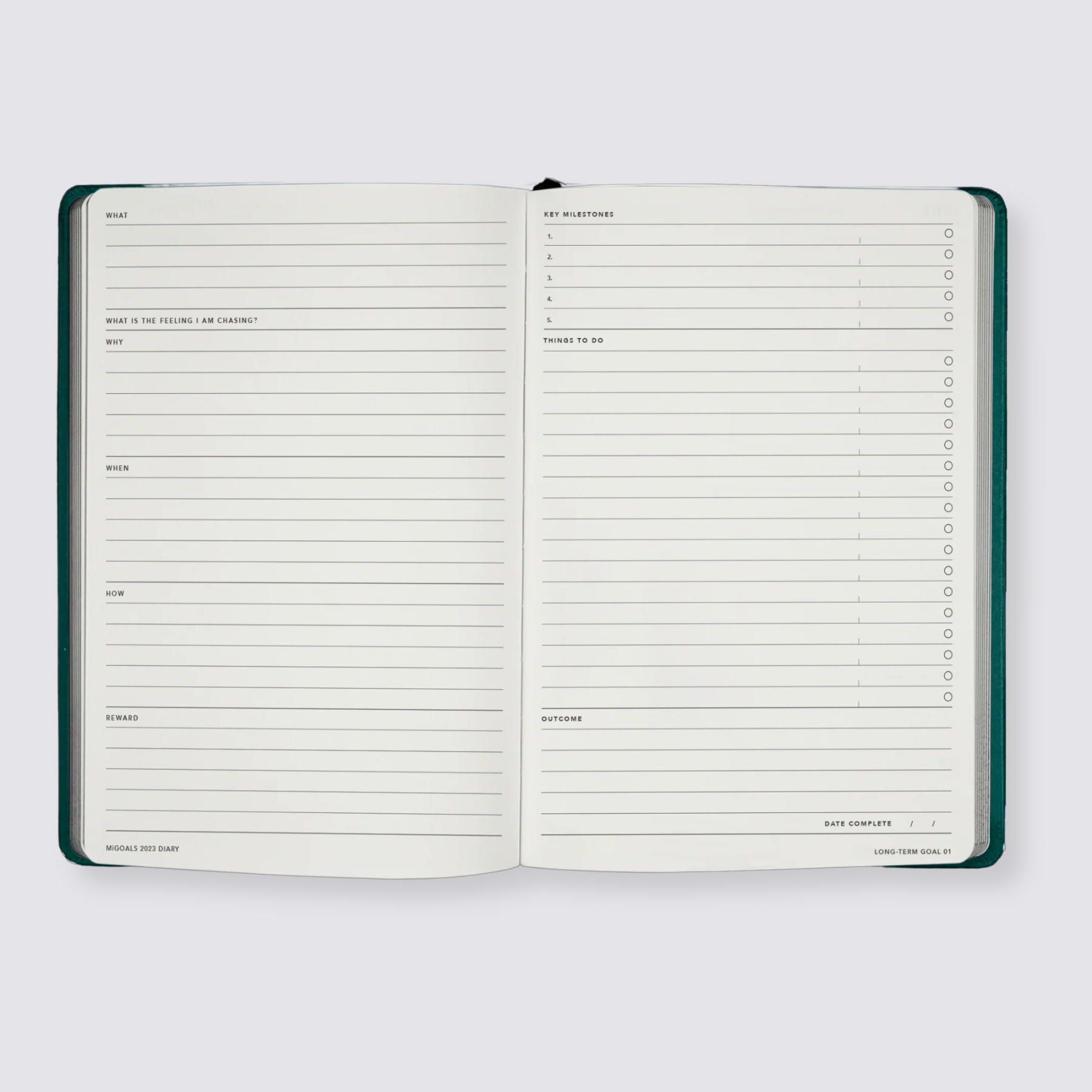 2024 goal planning diary