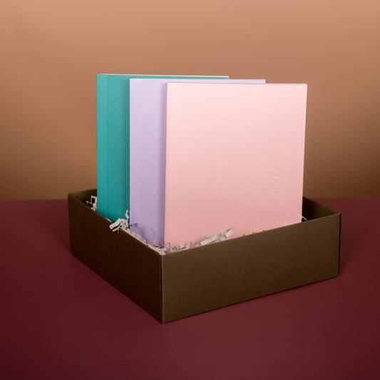 Paperback Trio Notebook Set - Cool