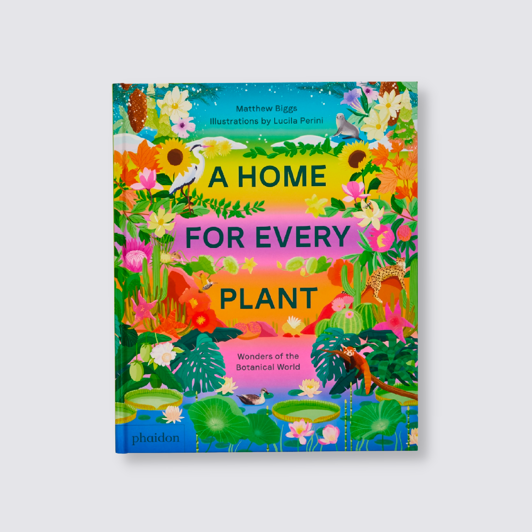 A Home for Every Plant Kids Book
