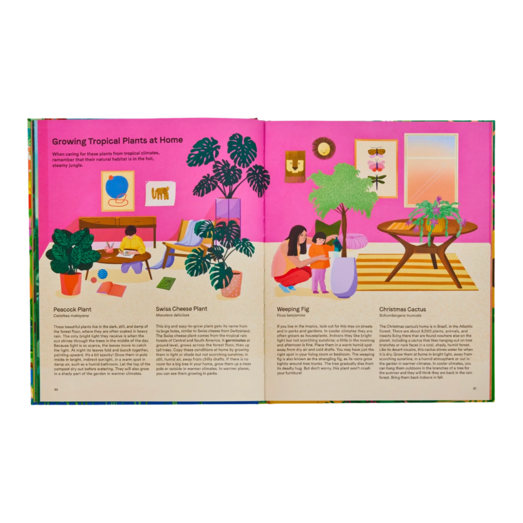 book on plants for kids
