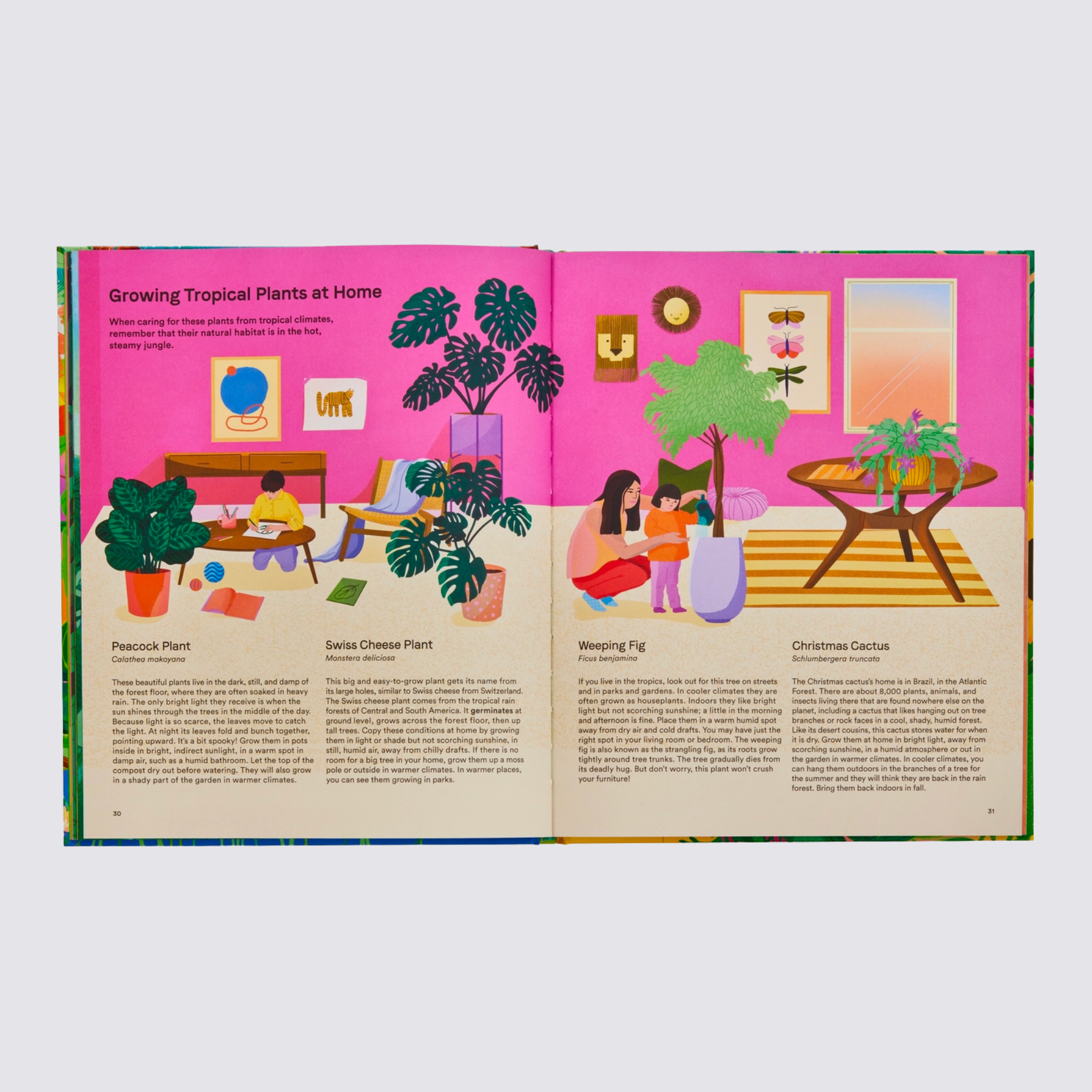 book on plants for kids