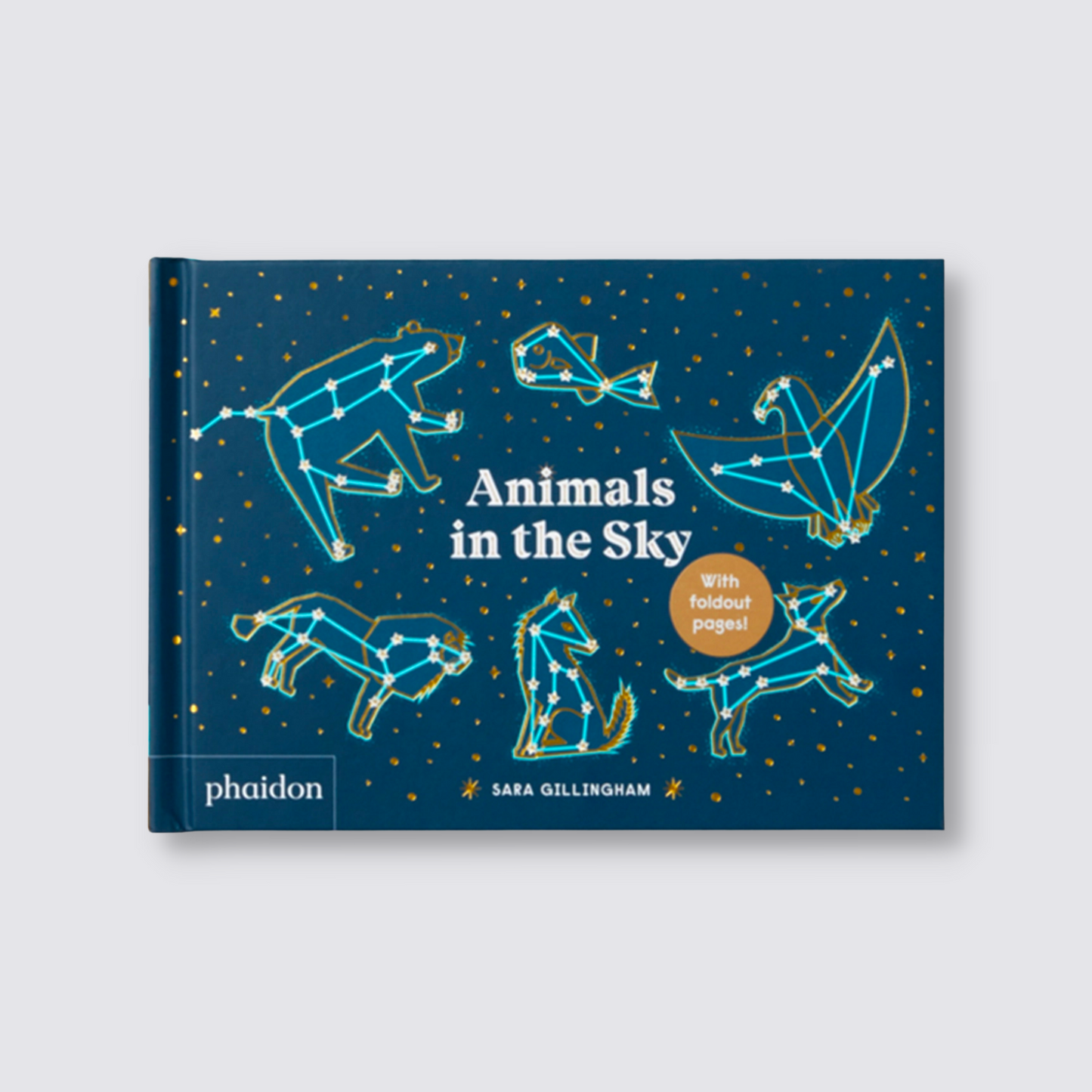 Animals in the Sky Book