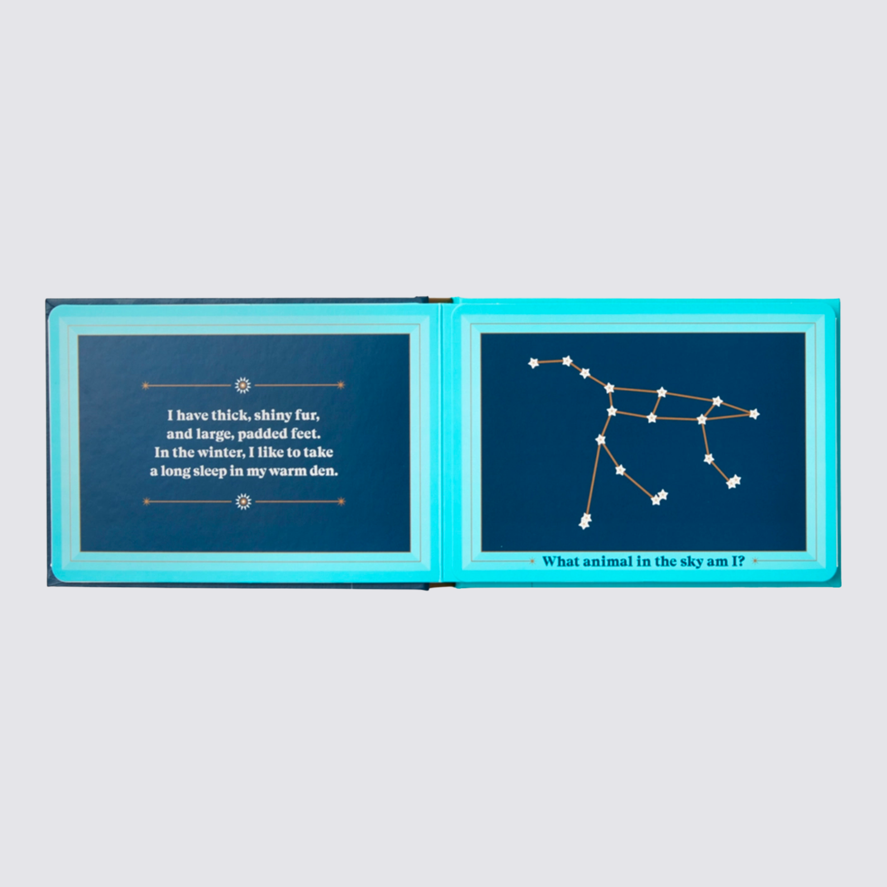 book on constellations for kids