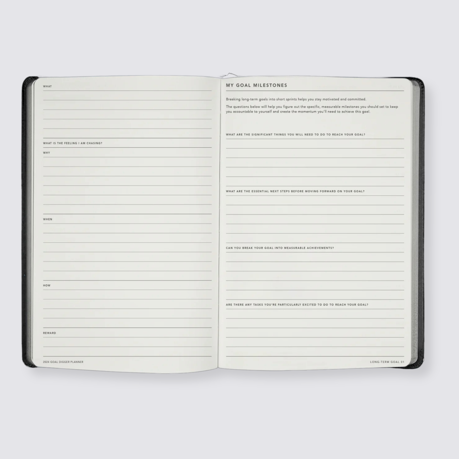 2024 weekly goal digger planner diary