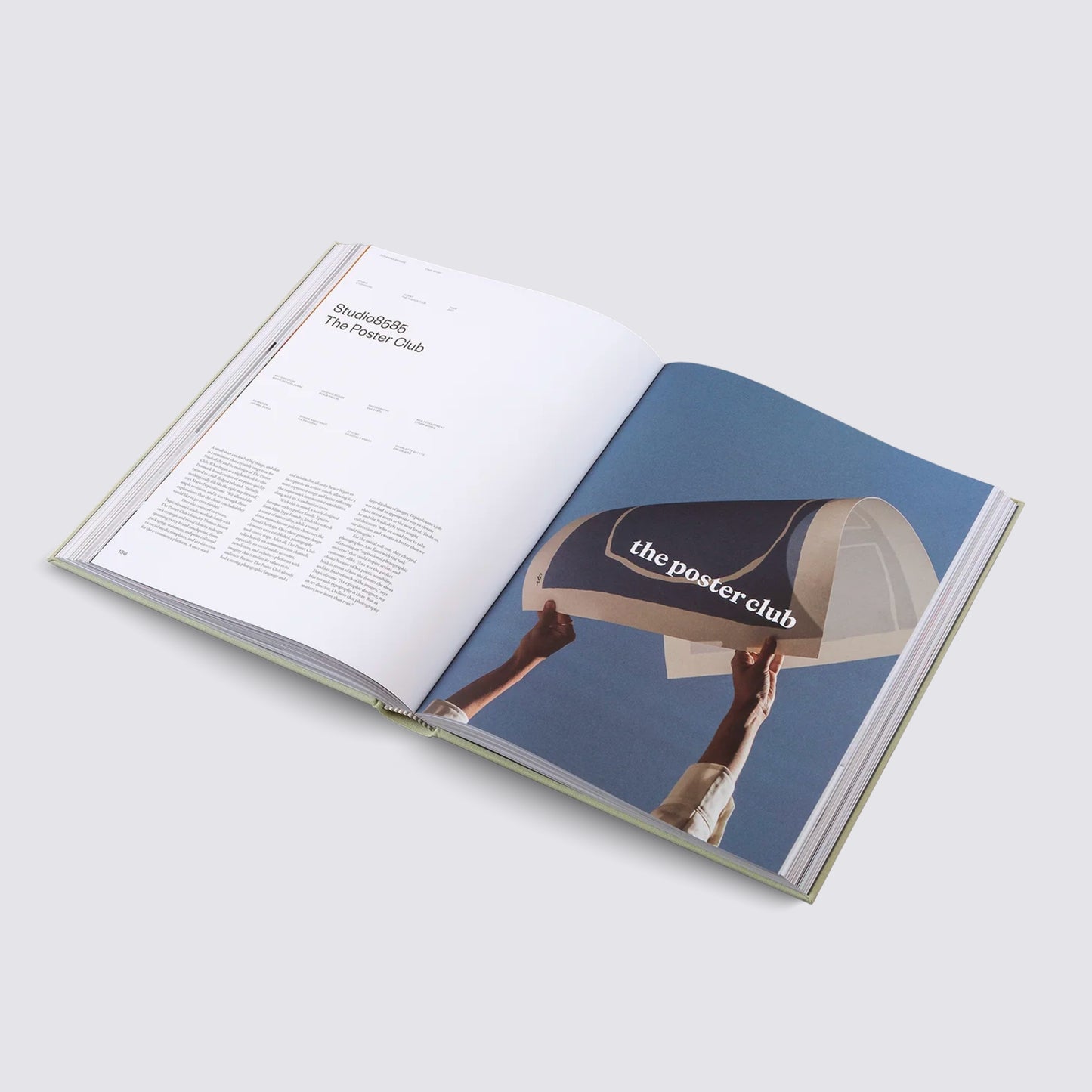Designing Brands book