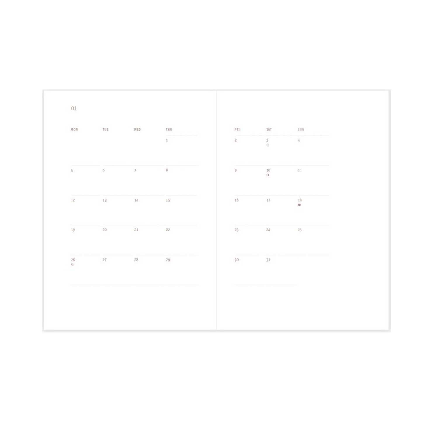 Everyday 2026 Daily Calendar - Ink