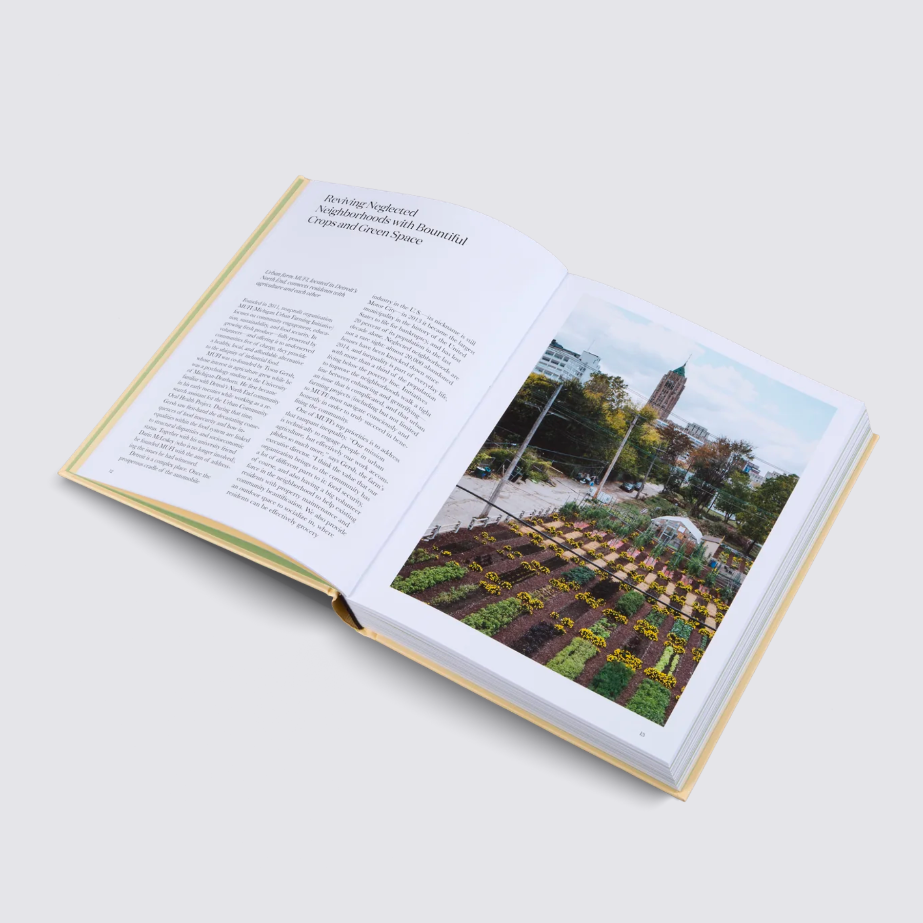 book on growing food in the city