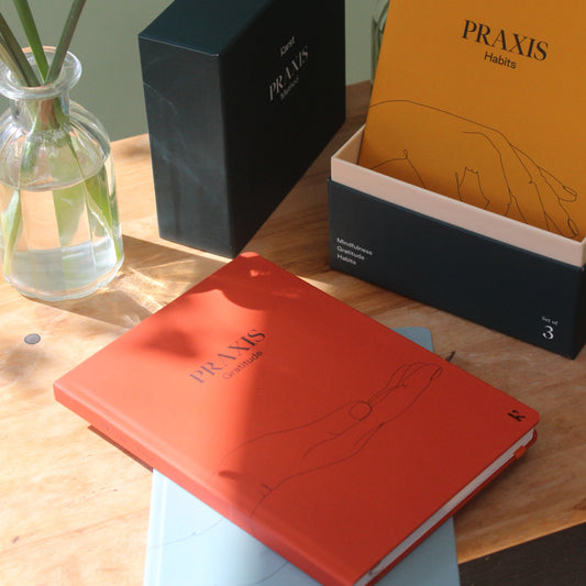 Praxis Method - 3 Journal Set