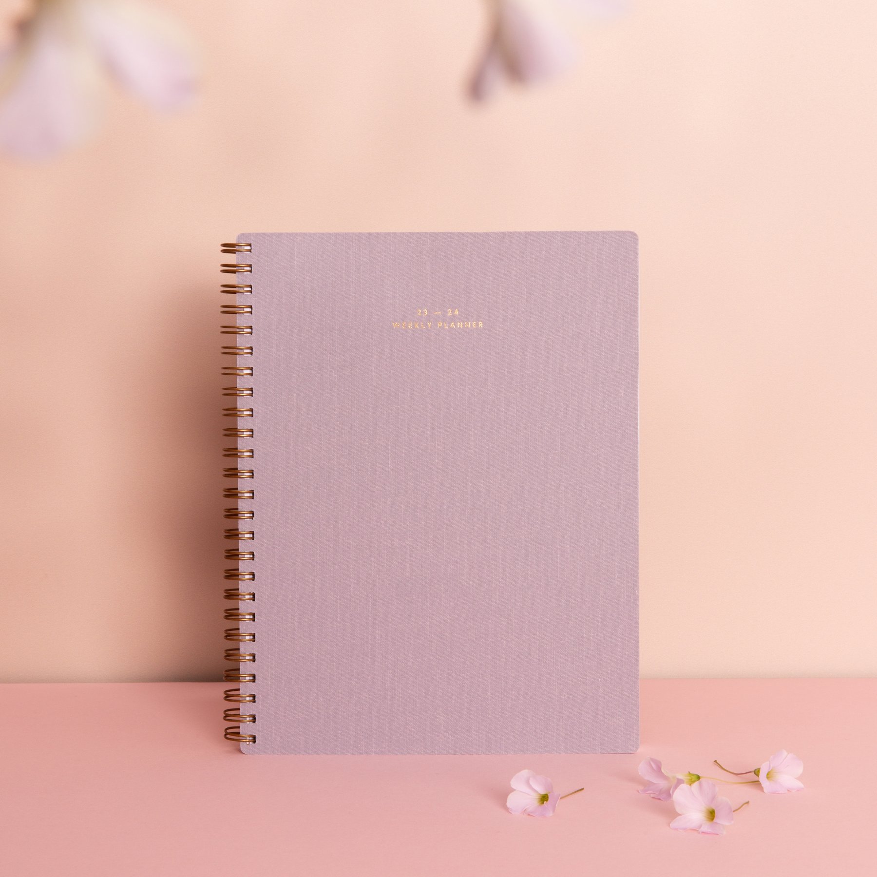 Lilac 23 - 24 diary