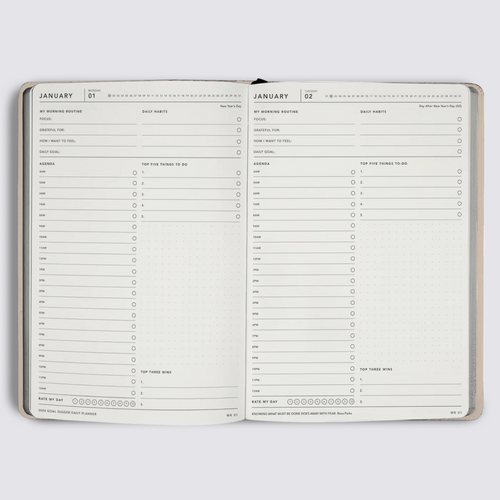 Daily Goaldigger Diary