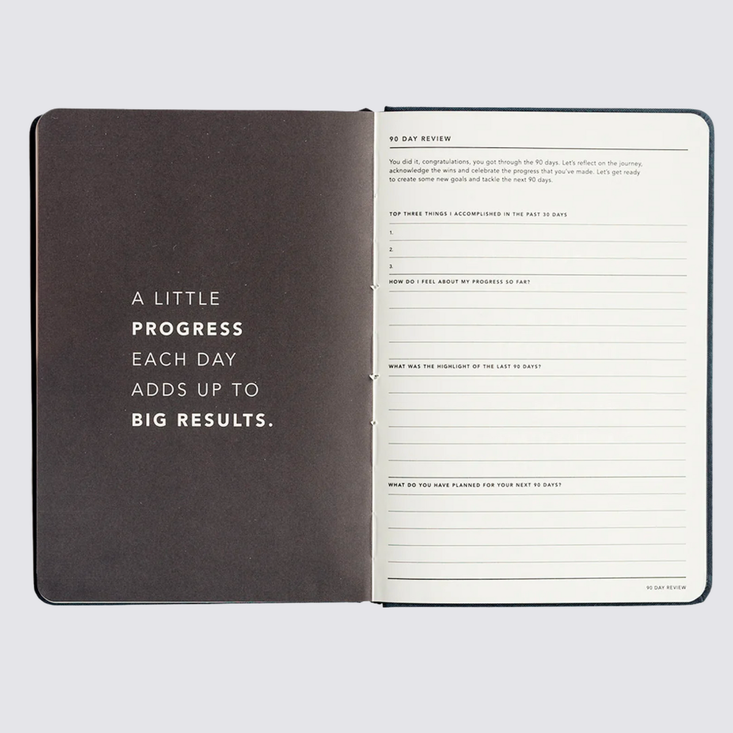 Progress Journal - Lilac