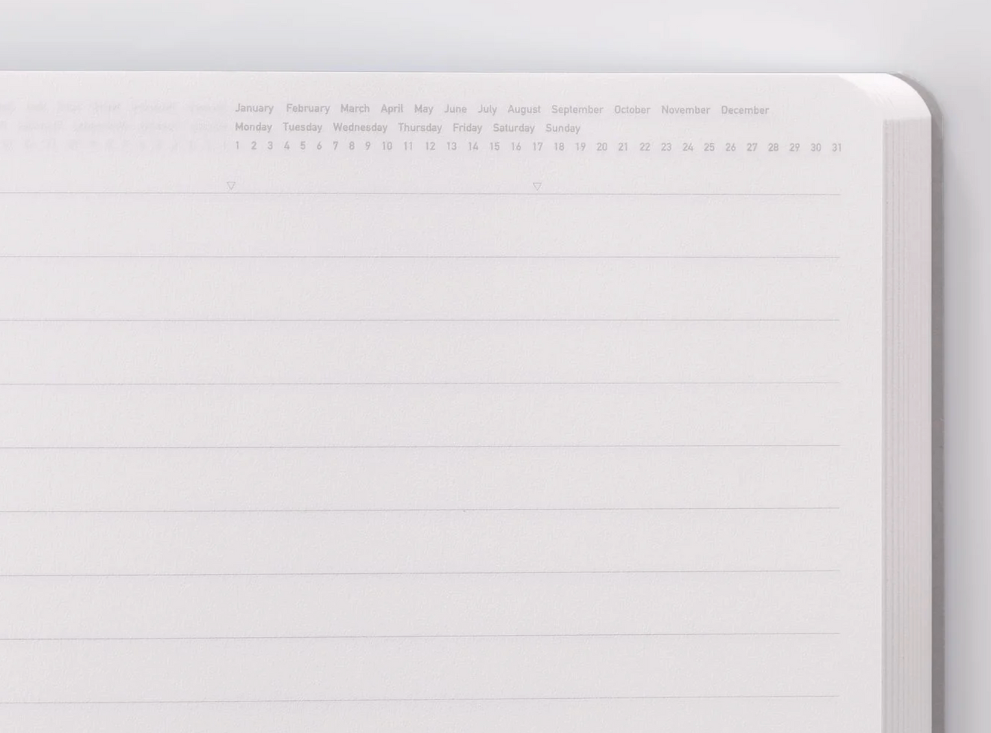 365 Days Ruled Notebook - Yellow / A5