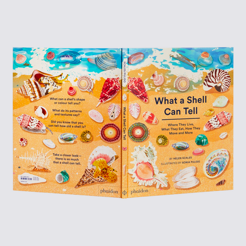 What a shell can tell kids book