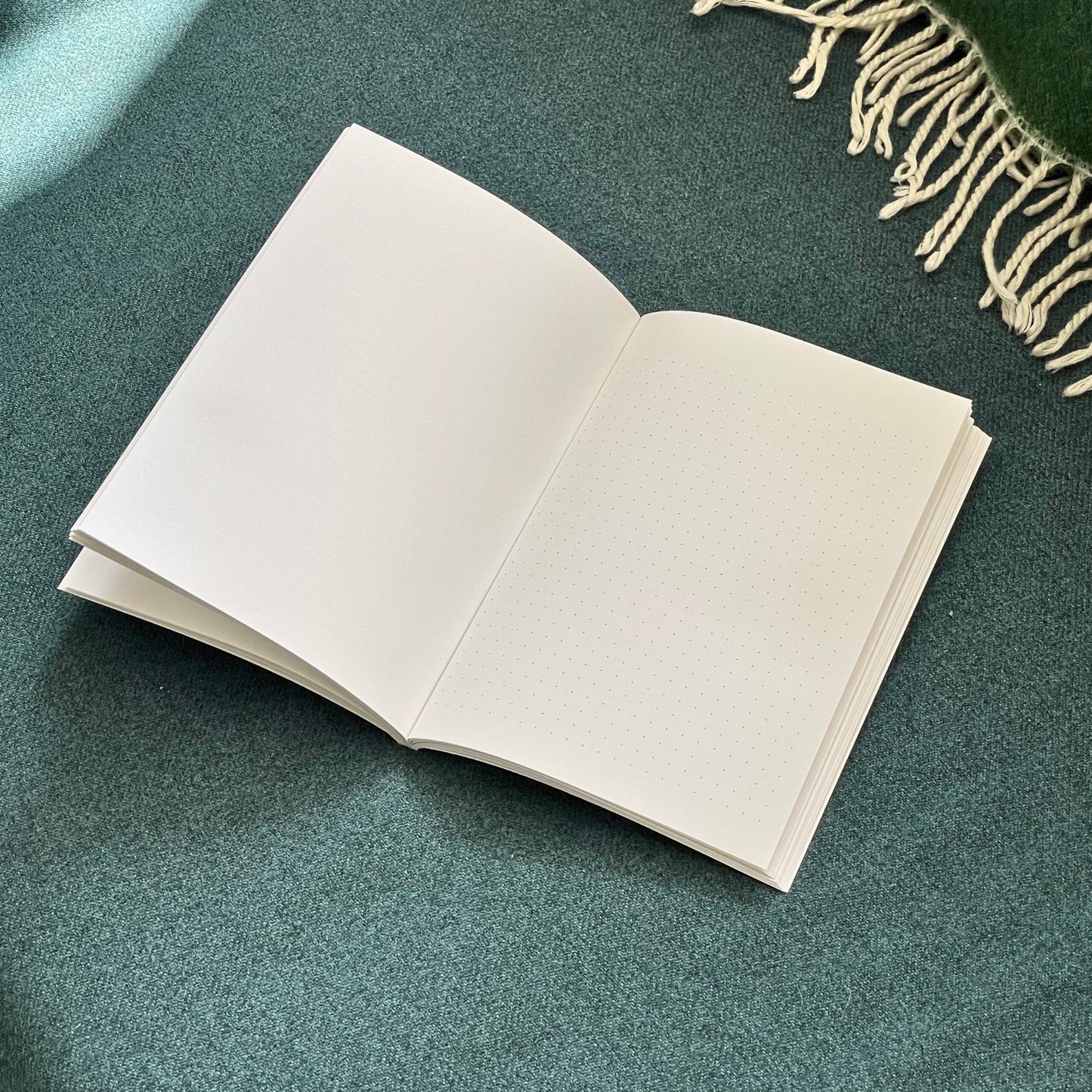 Dot Grid and Plain Minimal Notebook