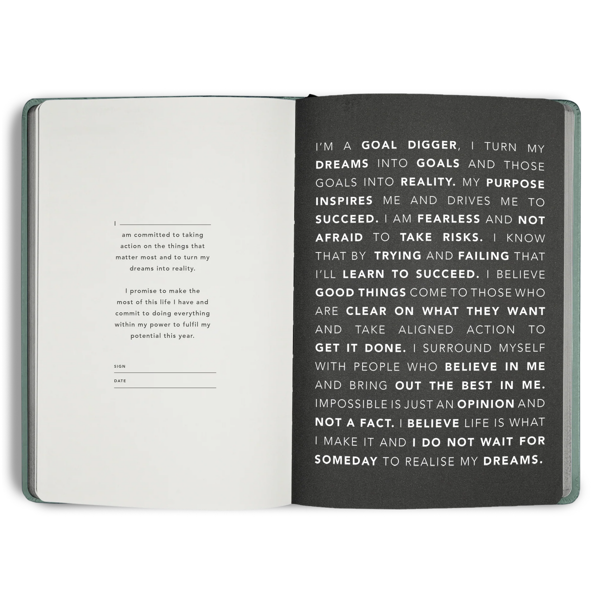 2026 Goal Digger Diary - Classic / Sea Green