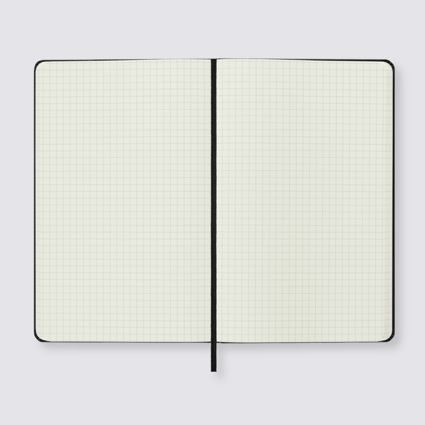 Moleskine large grid page notebook
