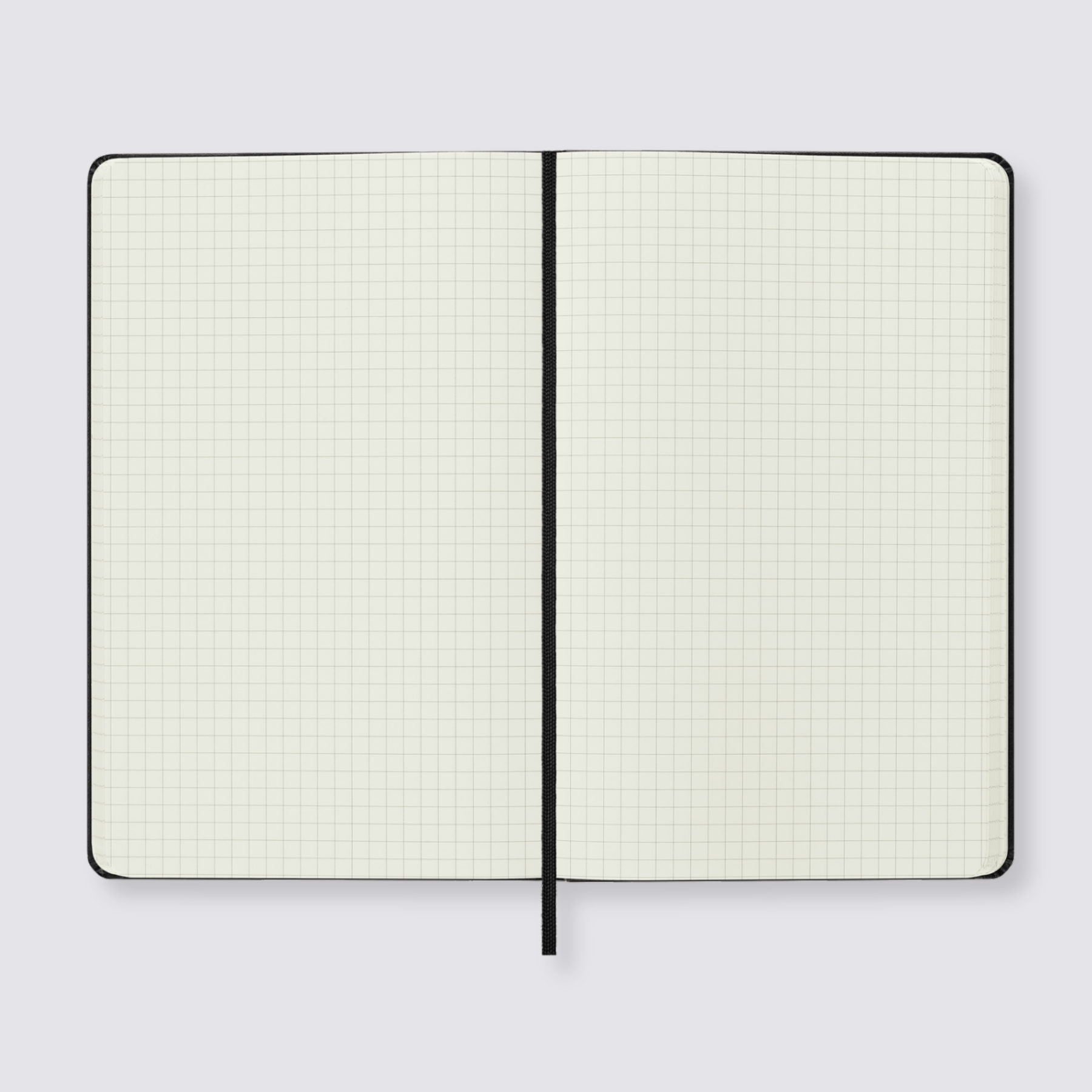 Moleskine large grid page notebook