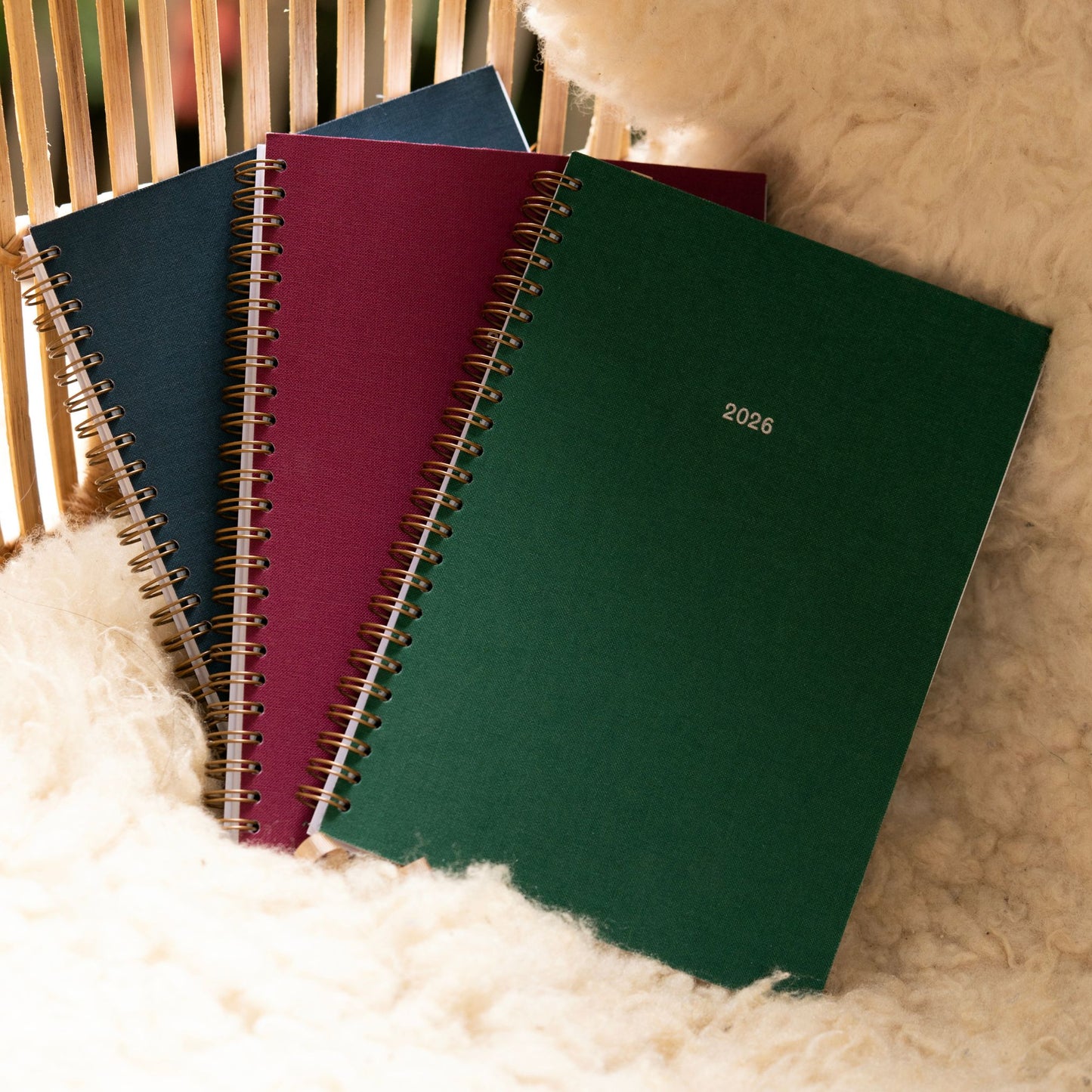 Three spiral-bound notebooks with 202 printed on the front in different colors on a textured surface