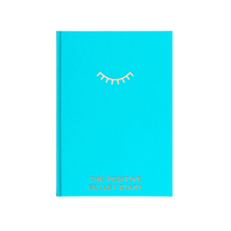 Positive bullet diary
