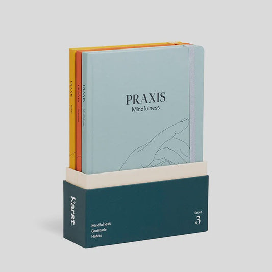 Praxis Method - 3 Journal Set