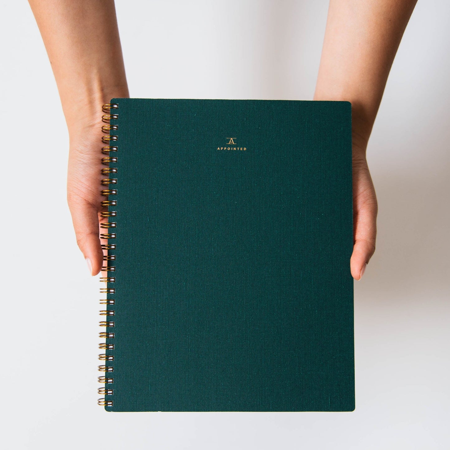 appointed workbook green