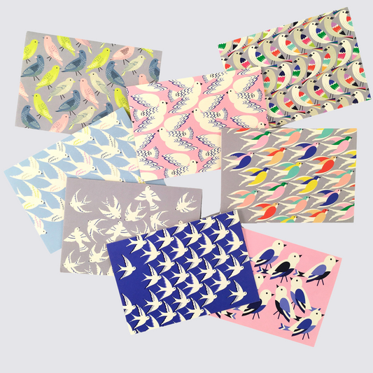 Birds In Colour Notecard Set