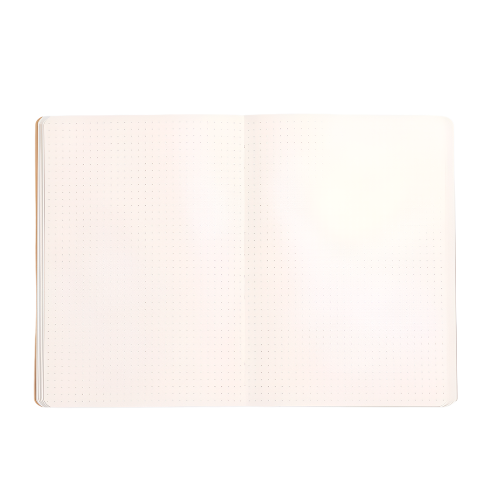dot grid rhodia notebook