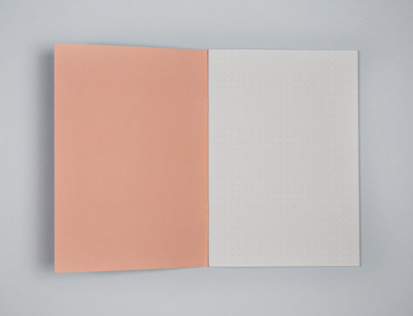 Dot Grid A5 Notebook - Pastel Giant Brush
