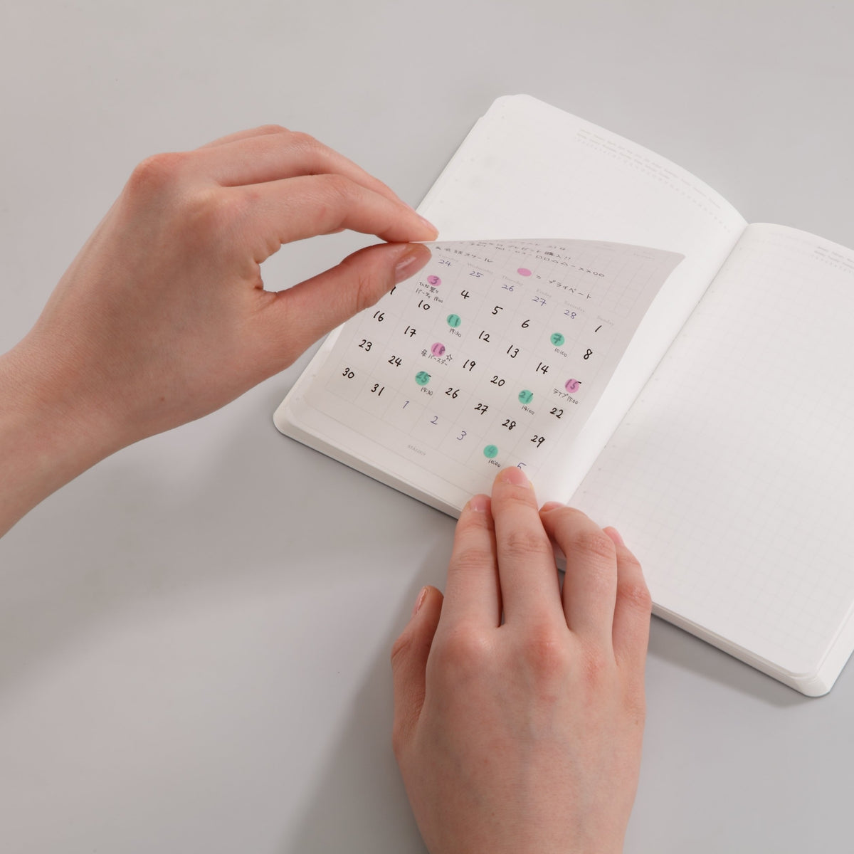 Removable Weekly Seal Calendar