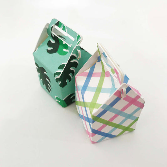 Gift Box - Turquoise Monstera