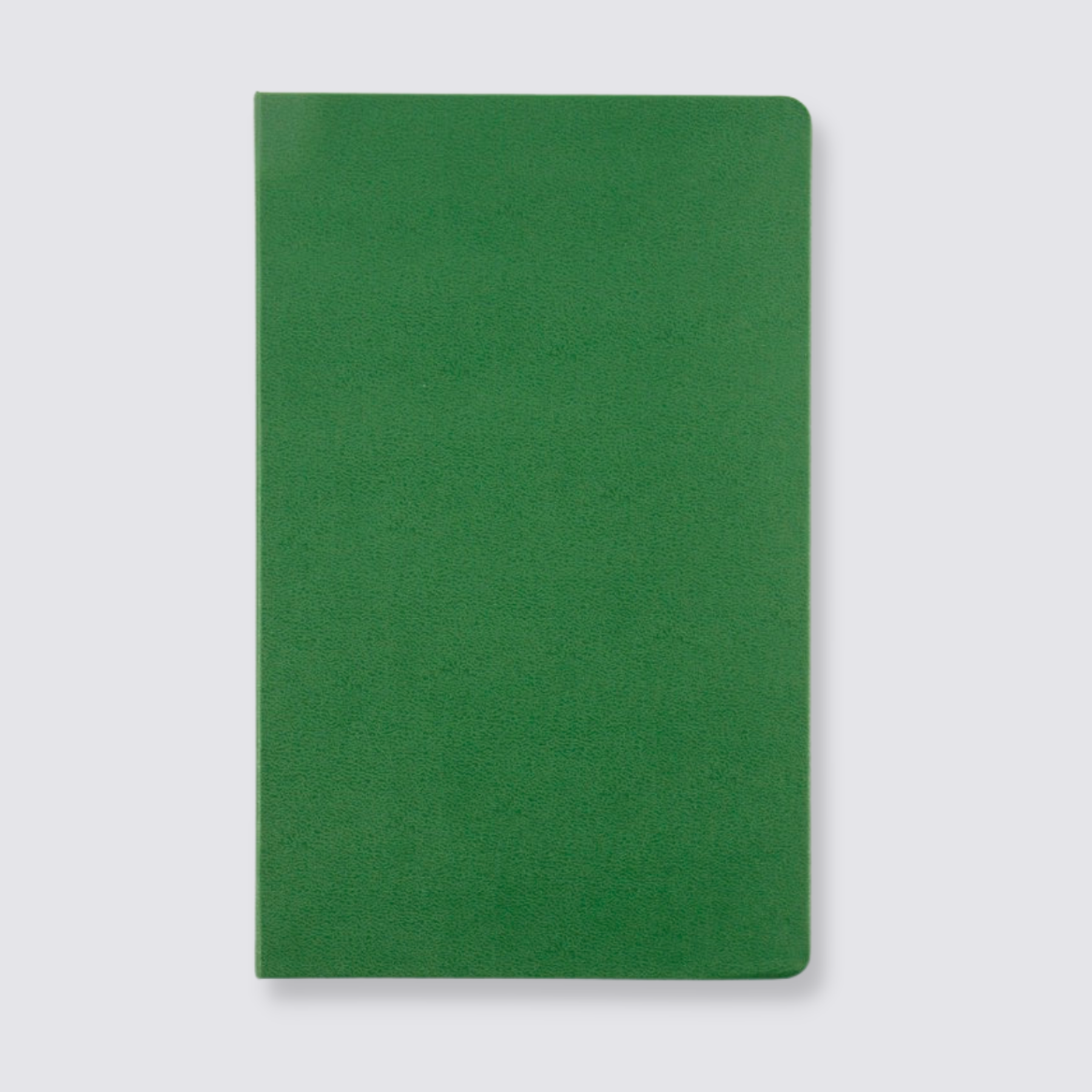 Large Moleskine Notebook Green