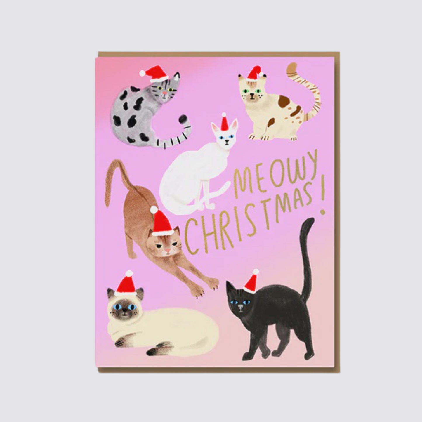 Feline Christmas - Set of 8