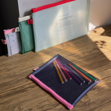 Black and Pink Mesh Storage Case