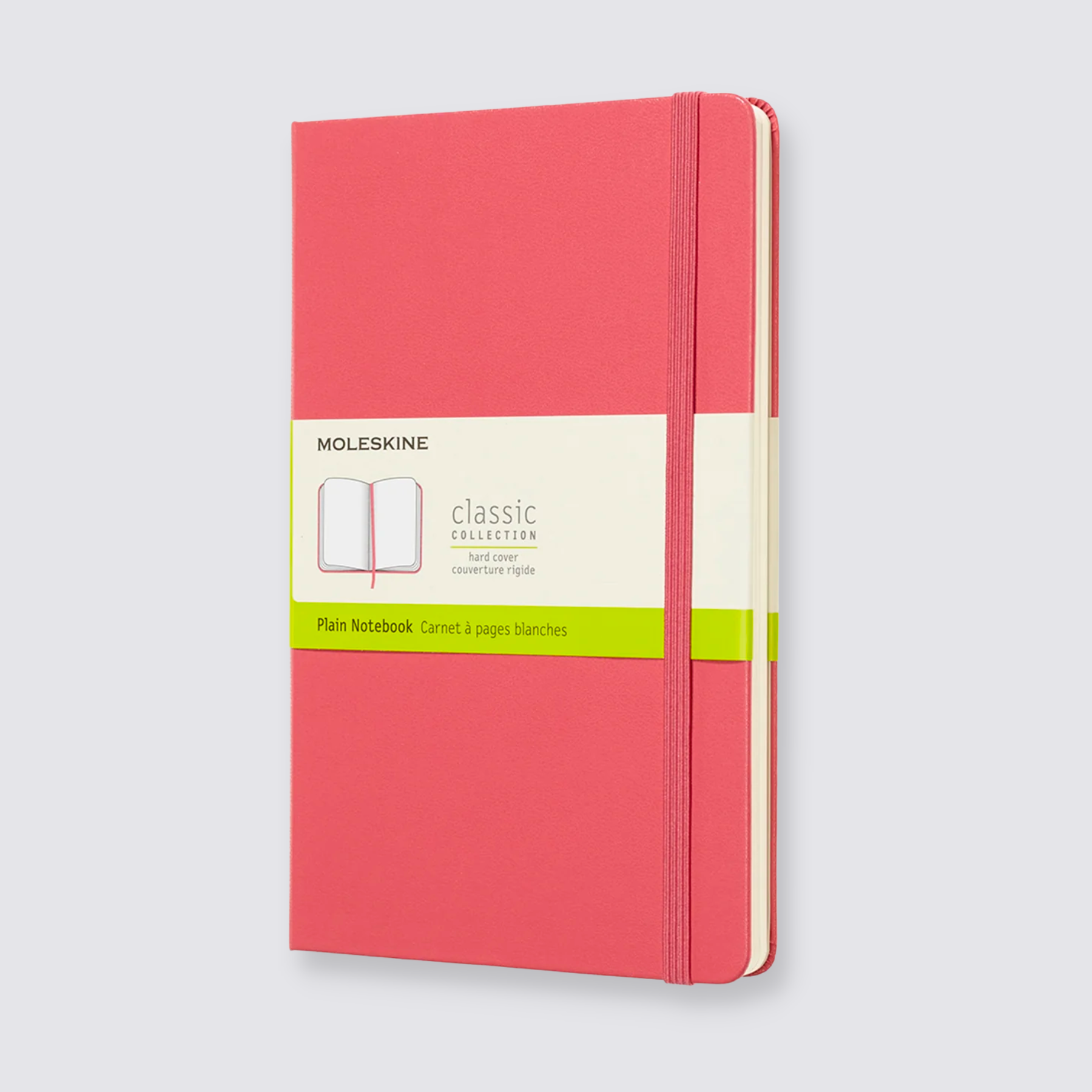 Moleskine Chapters Journal, Slim Medium, Dotted, Mist Green, Soft Cover  (3.75 x 7) (Diary)