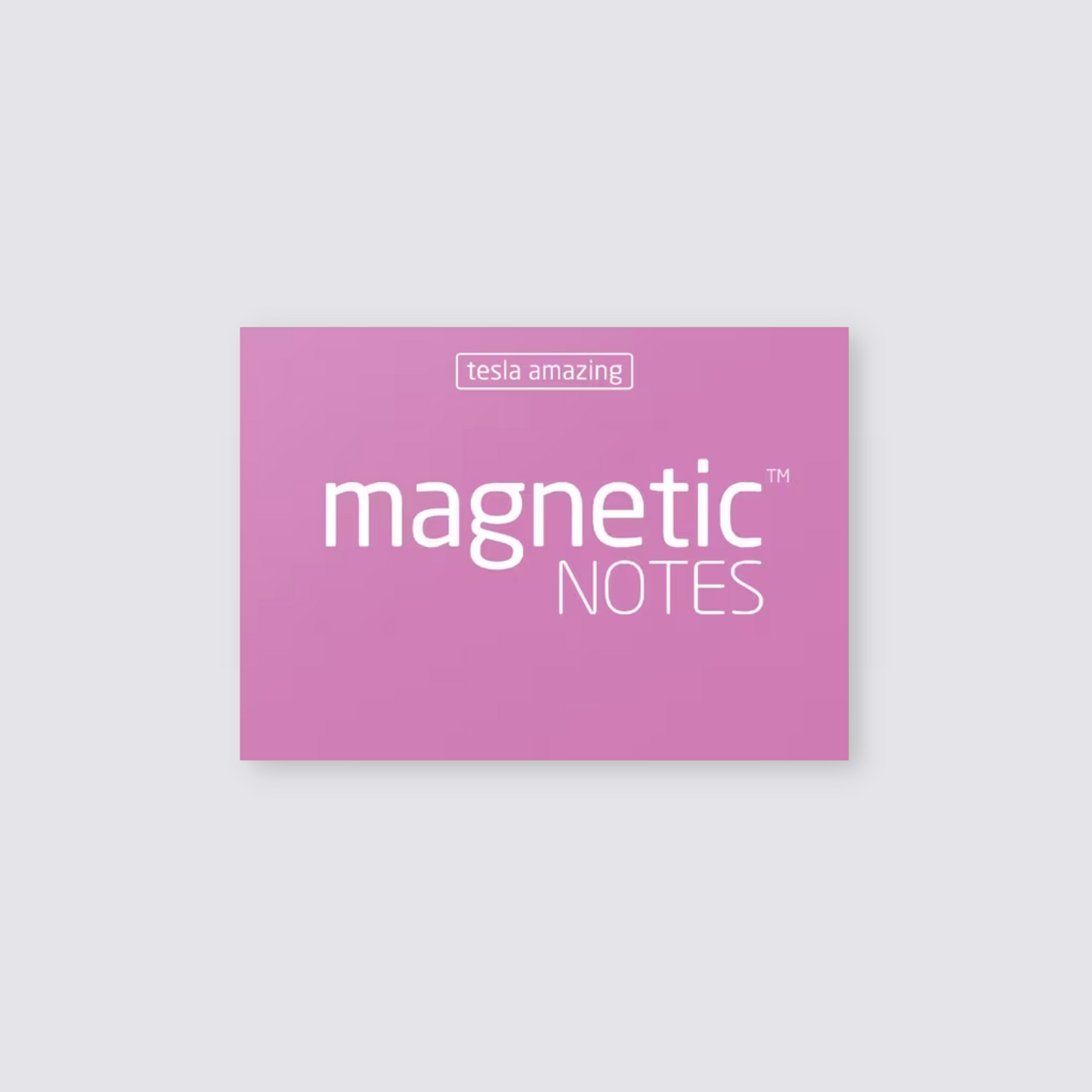 Small Magnetic Notes - Pink