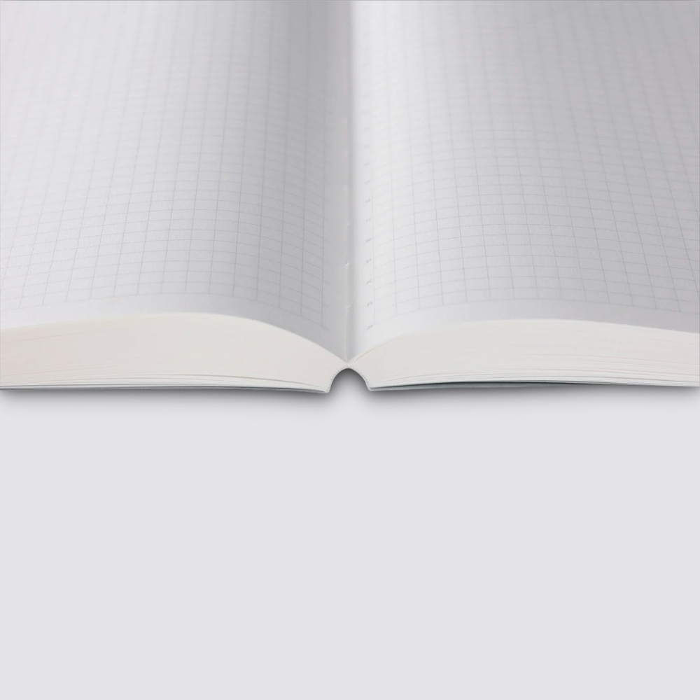 daily graph notebook 