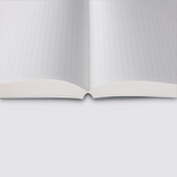 daily graph notebook 